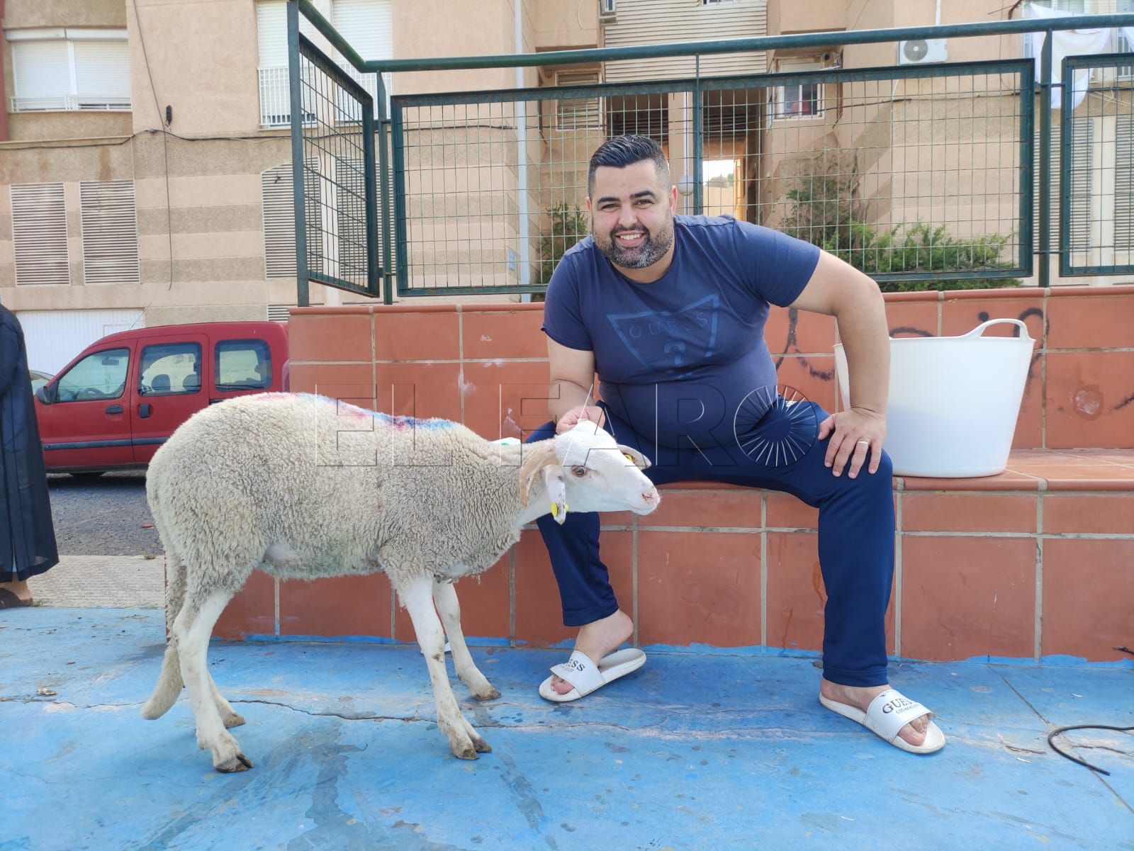 Vecino melillense junto a su cordero en el Tiro Nacional. -AGC-