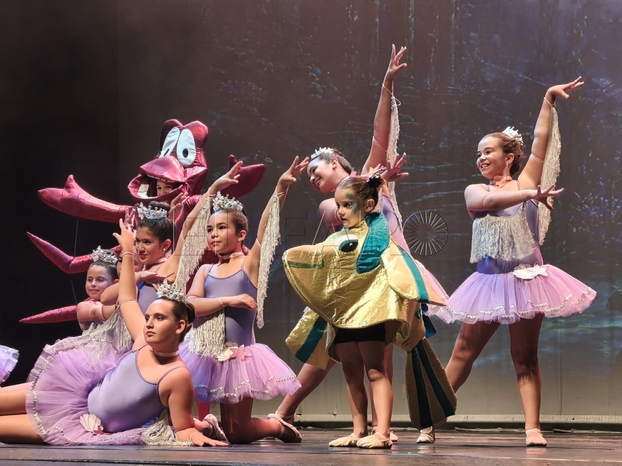 El universo Disney inspiró el festival fin de curso de Nuria Nieto. -AGC-