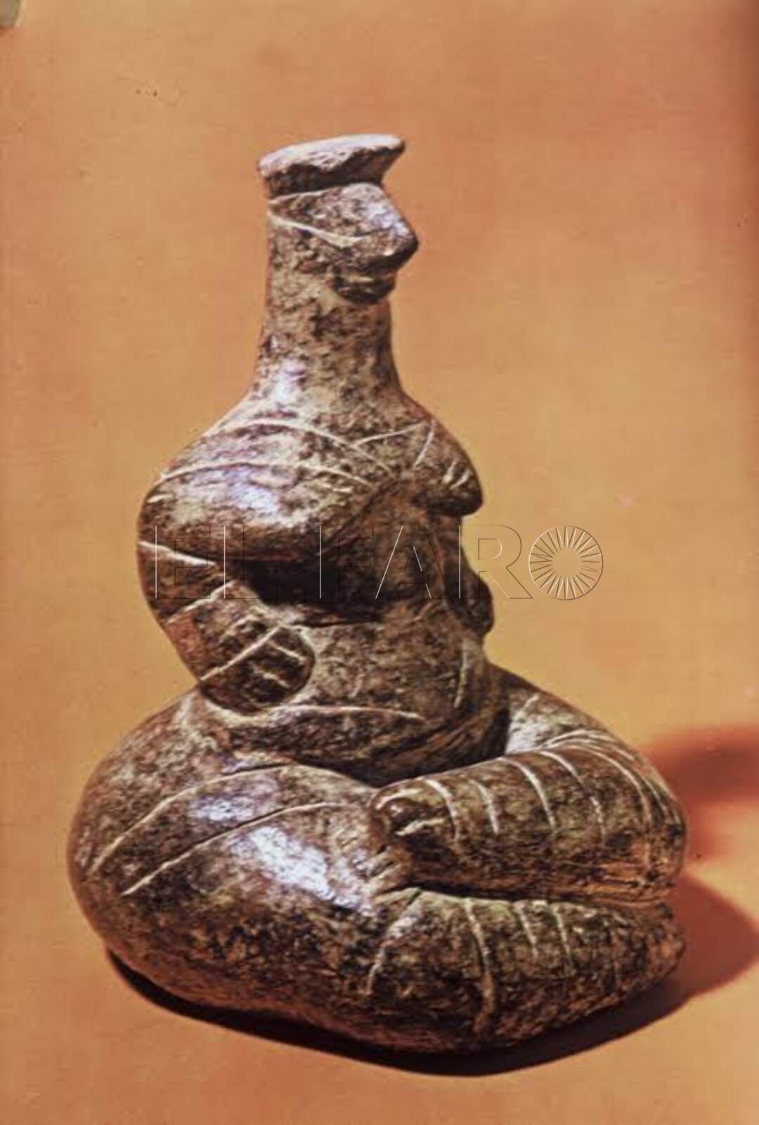 Cedida