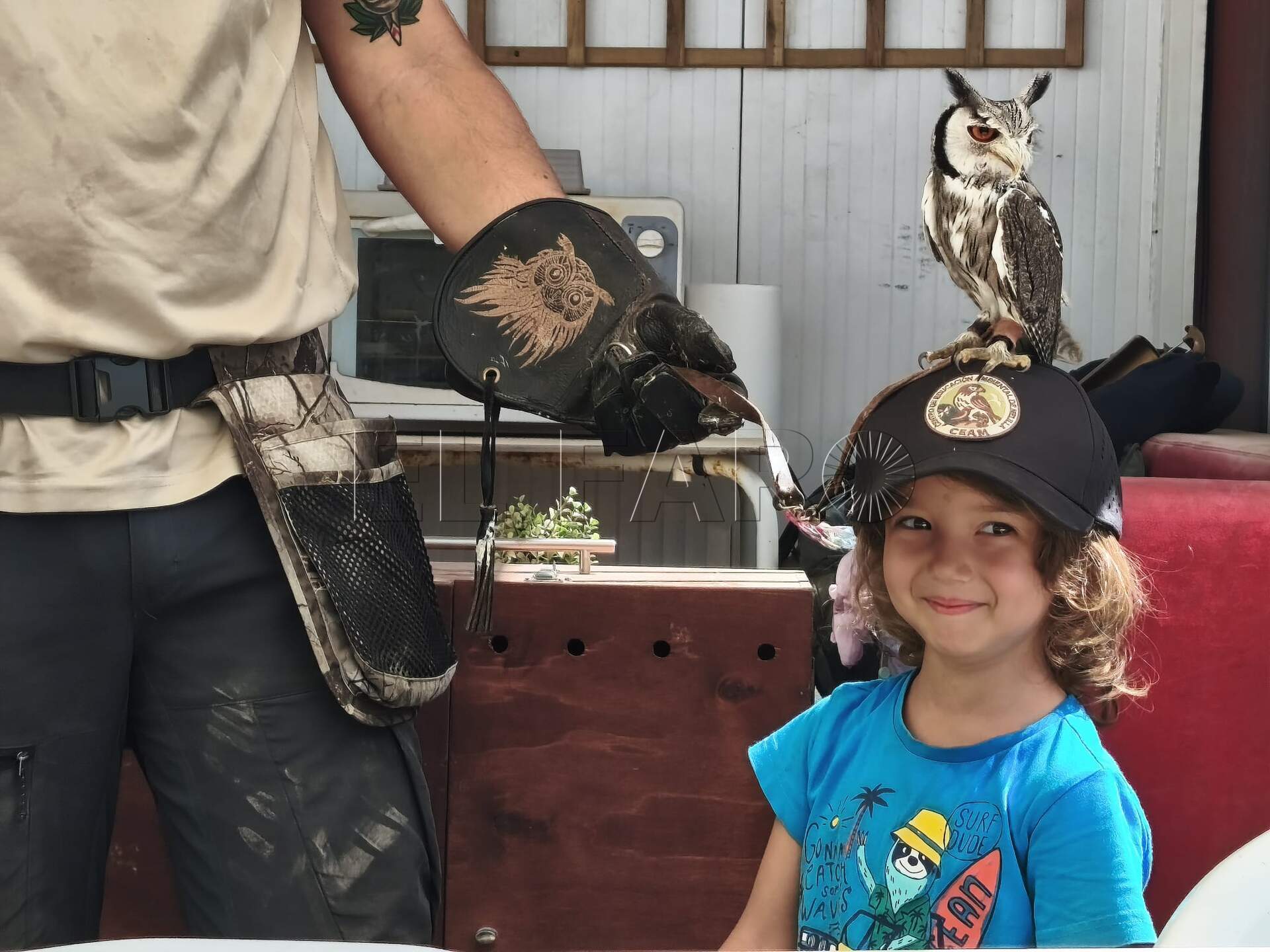 Una de las niñas del campamento durante su participación con el búho Tintín sobre la cabeza cubierta con una gorra. -AGC-