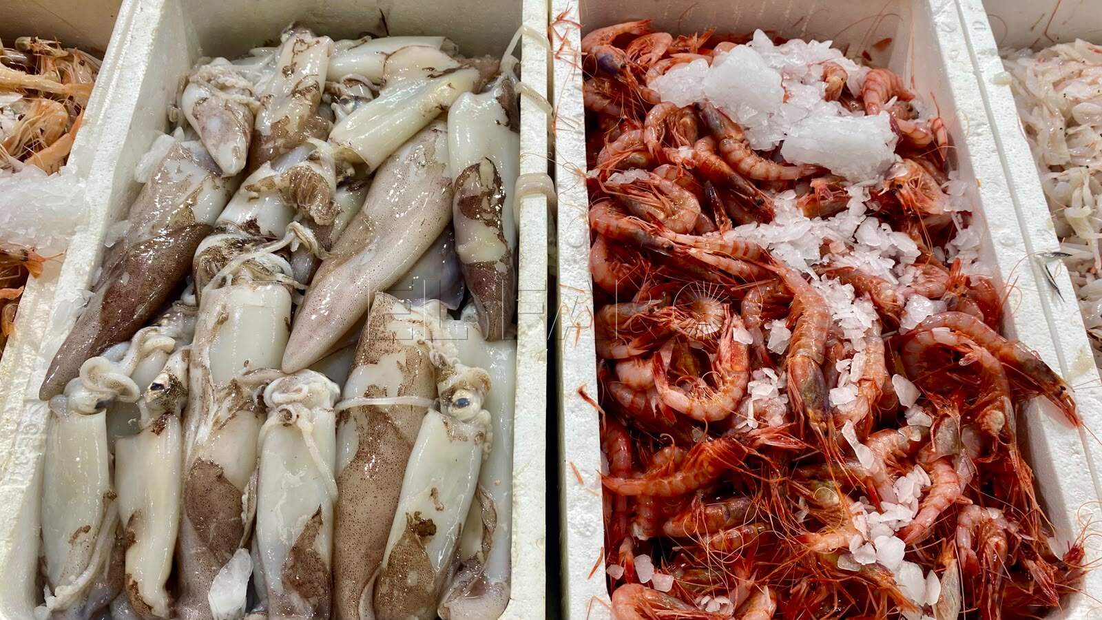 Los precios del pescado se mantienen pero siguen siendo inaccesibles para las familias