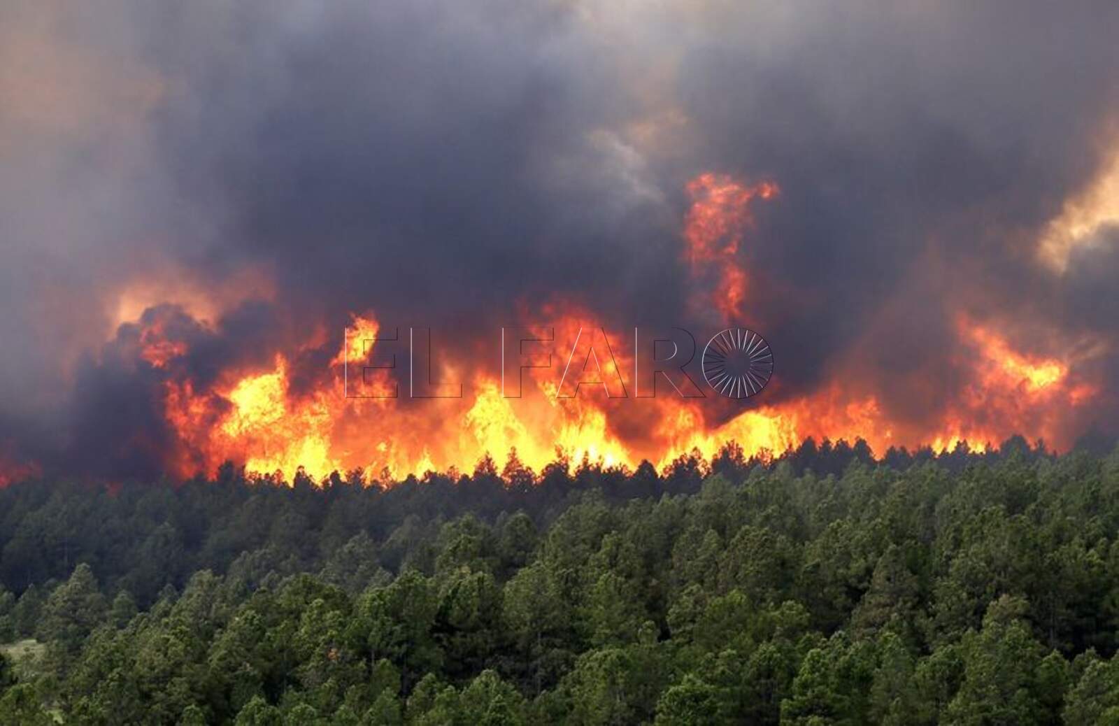 El verano es la época en la que más incendios forestales se registran (Internet)