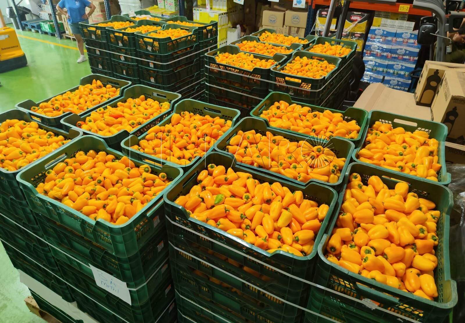 Primer semestre positivo en el Banco de Alimentos (cedida)