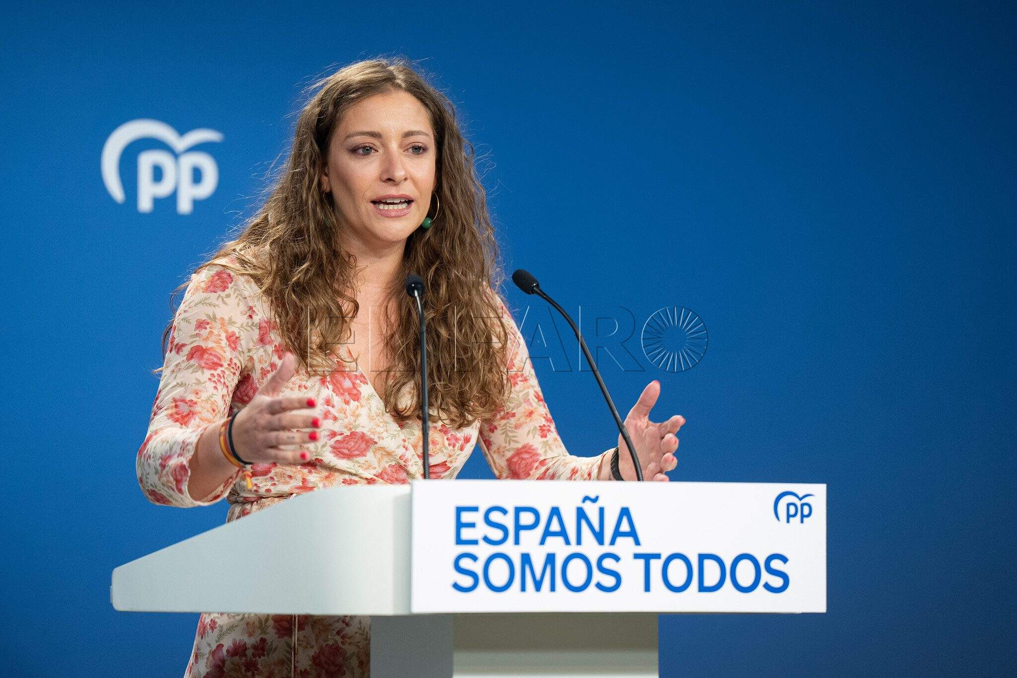 Portavoz del PP en el Congreso de los Diputados