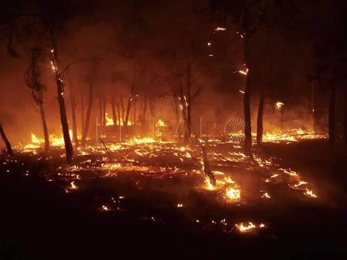 Por la prevención de los incendios forestales y una nueva conciencia de país