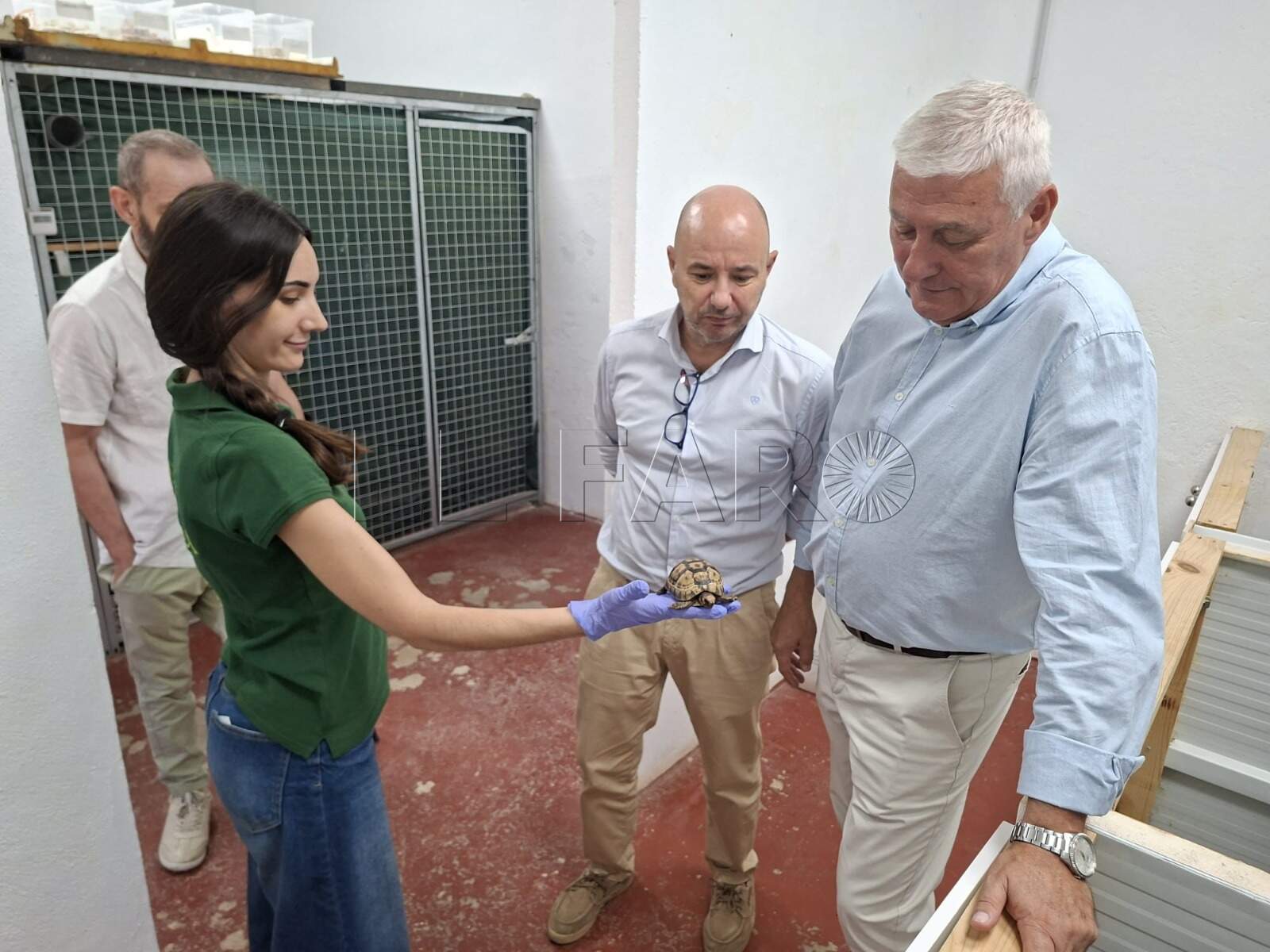 El Centro de Recuperación de Especies Amenazadas atiende casi 200 ejemplares