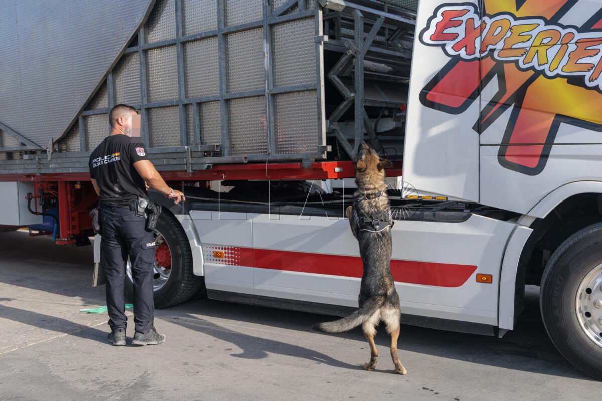 MELILLA, 07/09/2026.-La Operación Feriante que están desarrollando desde esta madrugada las fuerzas y cuerpos de seguridad del Estado en Melilla para evitar que migrantes lleguen a la península como polizones ocultos en atracciones de feria ha superado en sus primeras horas las cifras de los últimos años.-EFE/ Giner