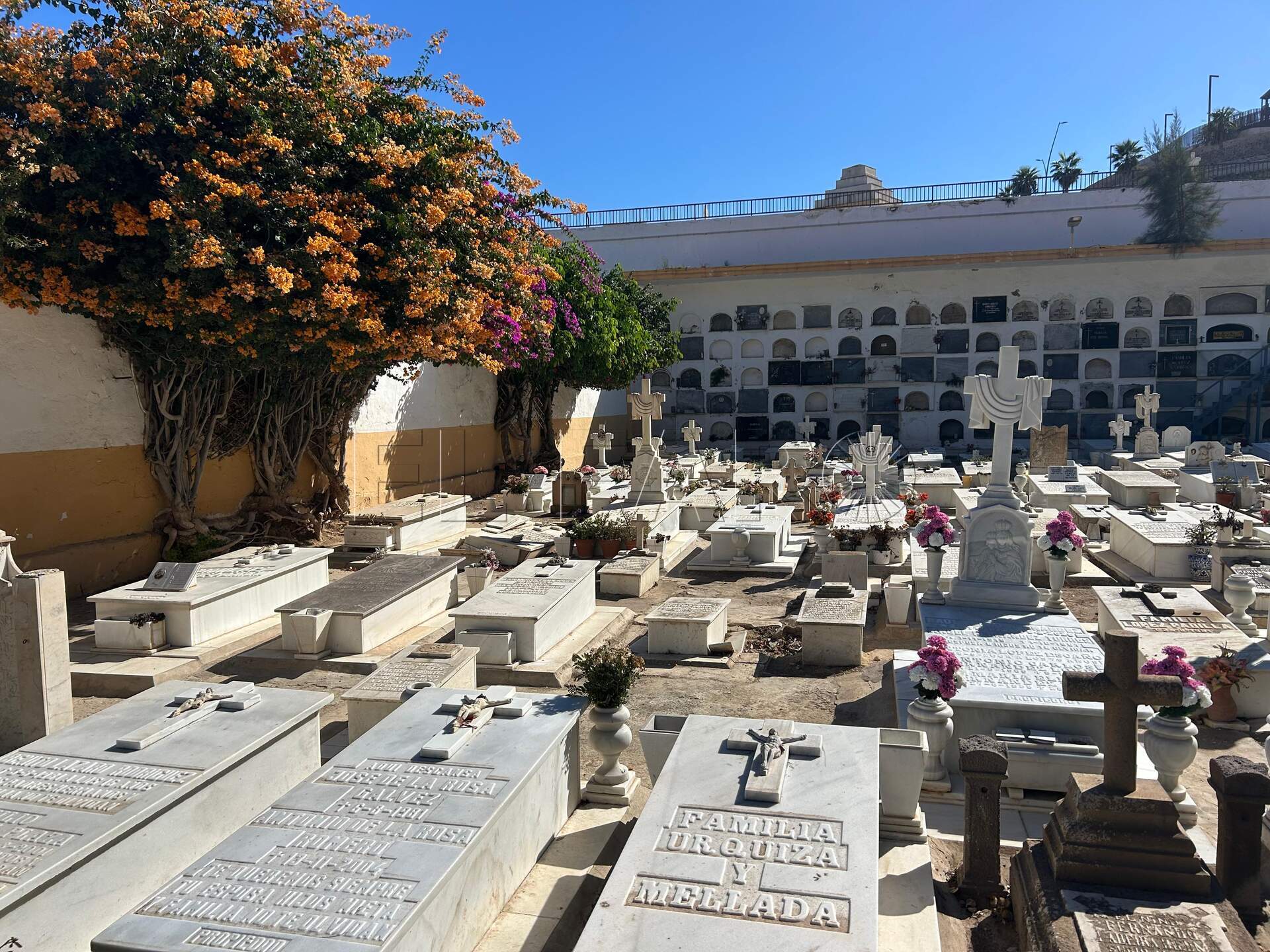 El cementerio de la Purísima pide algo más que una puesta a punto para Todos los Santos