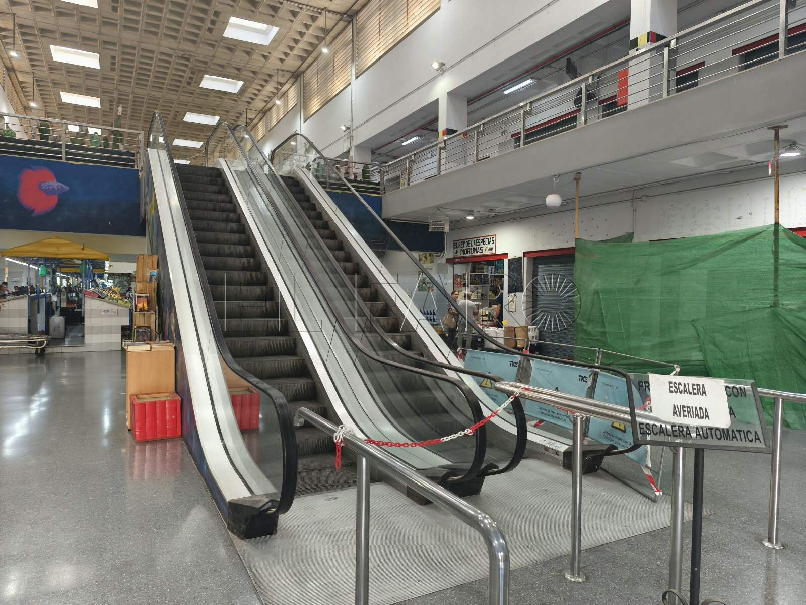 El Mercado Central sustituirá la escalera mecánica por una convencional y un ascensor